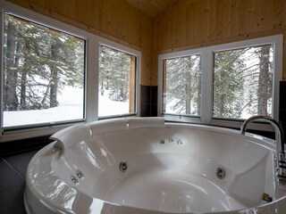 Chalet Turracherhöhe Features 13