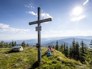 Chalet St. Lambrecht Environment 27