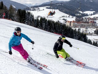 Chalet St. Lambrecht Umgebung 23