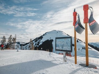 Apartment Hopfgarten im Brixental Umgebung 15