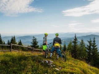 Chalet Stolzalpe Environment 16