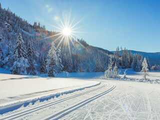 Chalet Stolzalpe Umgebung 17