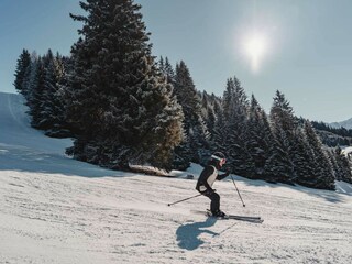 Apartment Berwang Umgebung 20