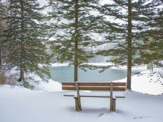 Apartment Eisenerz Environment 35