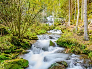 Chalet St. Lorenzen ob Murau Umgebung 25