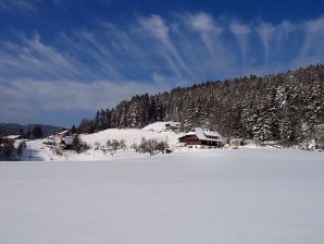 Ferienwohnung Kaltenbacher - Schramberg - image1