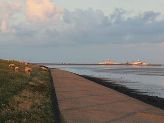 Bungalow Ballum Ambiente 19