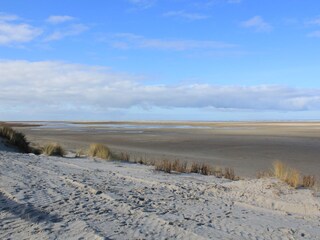 Bungalow Ballum Environment 22