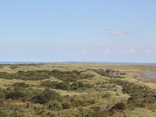 Bungalow Ballum Environment 23