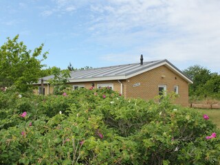 Bungalow Ballum Registrazione all'aperto 5