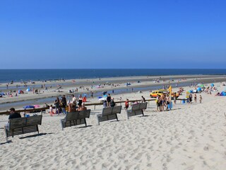 Bungalow Ballum Environment 24