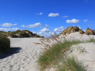 Bungalow Ballum Environment 25