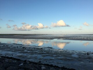 Bungalow Ballum Ambiente 31