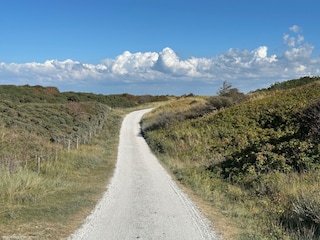 Bungalow Ballum Environment 32