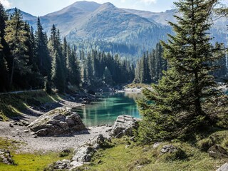 Chalet Steinach am Brenner Environment 28