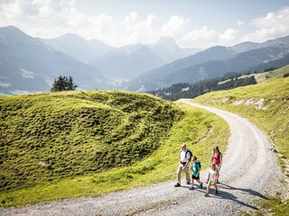 Apartment Reith bei Kitzbühel Environment 35