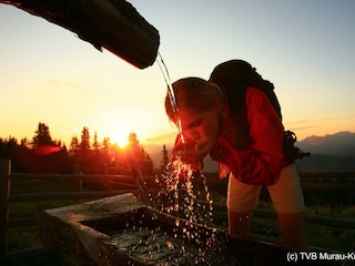 Chalet St. Georgen ob Murau Environment 24