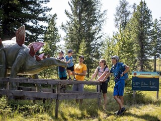 Chalet St. Georgen ob Murau Environment 18