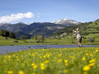 Chalet St. Lorenzen ob Murau Environment 28