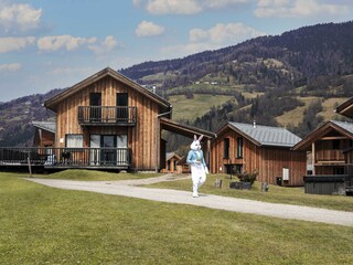 Chalet St. Lorenzen ob Murau Environment 29
