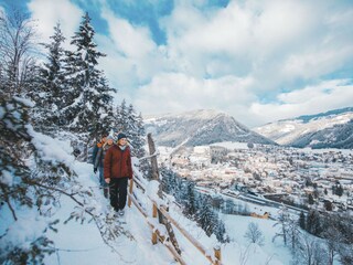 Chalet St. Lorenzen ob Murau Environment 12