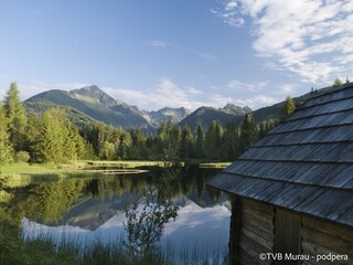 Chalet St. Lorenzen ob Murau Environment 13