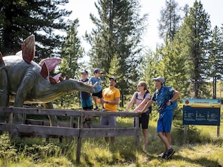 Chalet St. Lorenzen ob Murau Environment 25