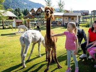 Chalet St. Lorenzen ob Murau  31