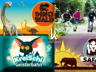 Chalet St. Lorenzen ob Murau Environment 47