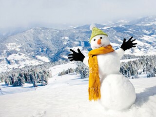 Chalet St. Lorenzen ob Murau Environment 55