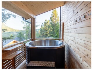 Chalet Turracherhöhe Features 32