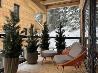 Chalet Turracherhöhe Features 16