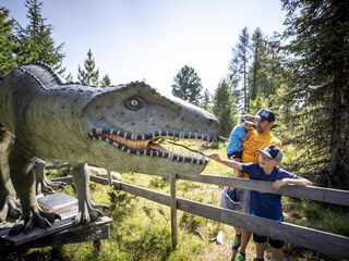 Apartment St. Lorenzen ob Murau Environment 25