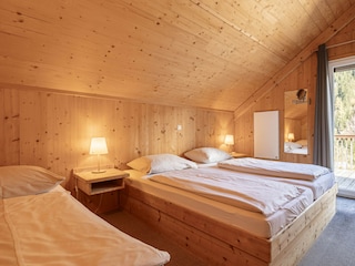 Chalet Stadl an der Mur Features 13