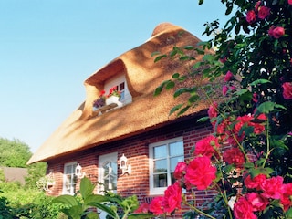 Holiday house Dagebüll Outdoor Recording 1