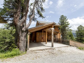 Chalet Turracherhöhe Außenaufnahme 5