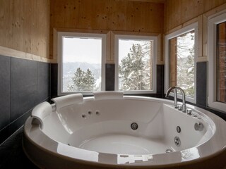 Chalet Turracherhöhe Features 17