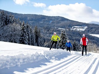 Chalet Turracherhöhe Umgebung 11