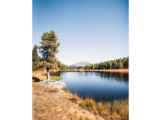 Chalet Turracherhöhe Umgebung 29