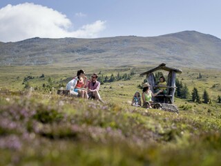 Chalet St. Lambrecht Environment 37