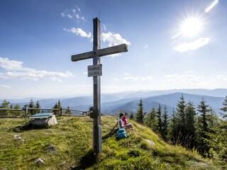 Chalet St. Lambrecht Environment 26