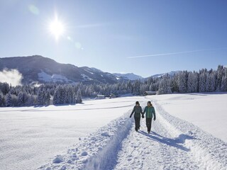 Apartment Hopfgarten im Brixental Environment 18