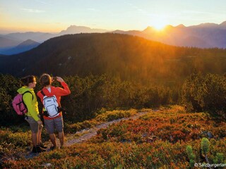 Apartment St. Martin am Tennengebirge Environment 18