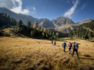 Chalet Stolzalpe Environment 22