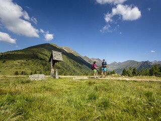 Chalet Stolzalpe Environment 28