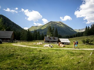 Chalet Stolzalpe Environment 25