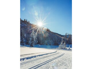 Chalet Stolzalpe Umgebung 23