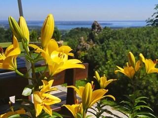 Apartment Marquartstein Environment 33