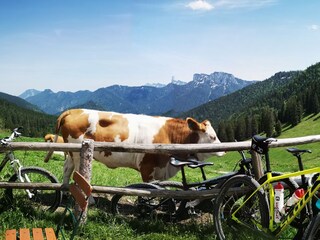 Apartment Marquartstein Environment 22