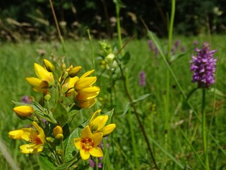 Apartment Marquartstein Environment 21